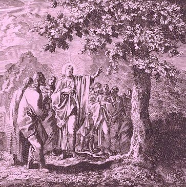 Jesus Curses the Fig Tree