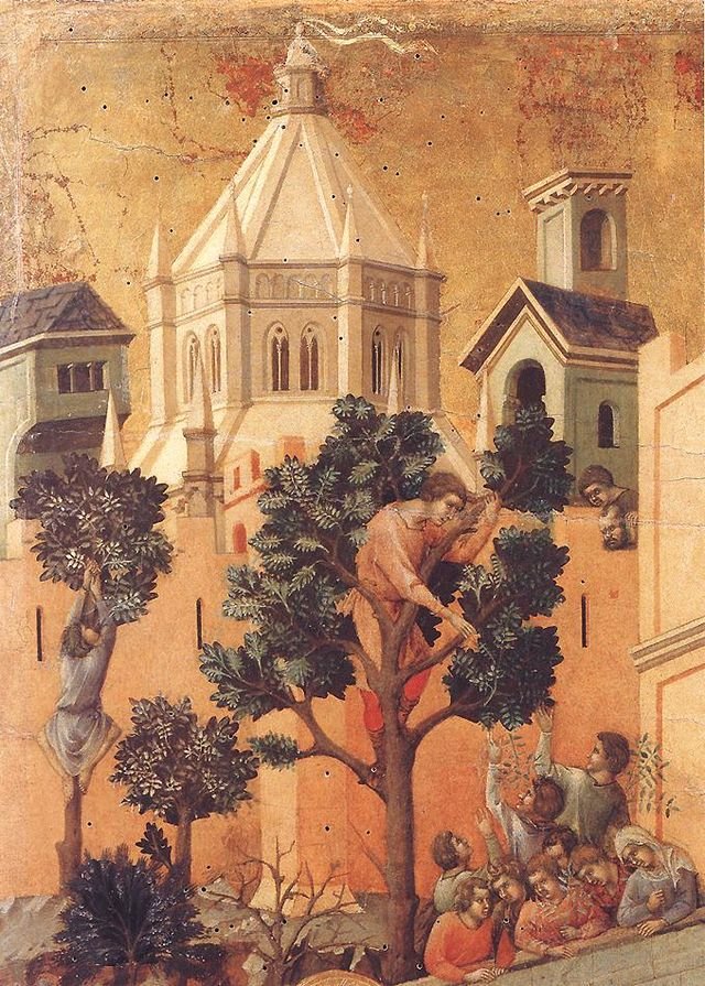 zaccheus in a tree gospel or luke
salvation, repentance