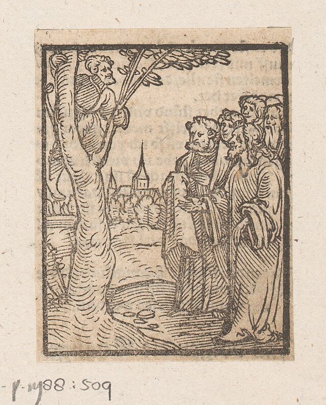 zaccheus in a tree gospel or luke
salvation, repentance
