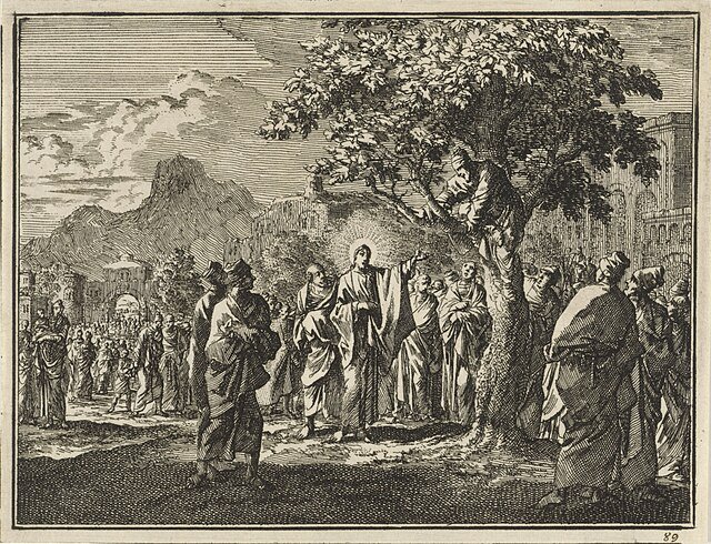 zaccheus in a tree gospel or luke
salvation, repentance