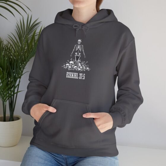 Valley of Dry Bones/Shame is a Demon Unisex Hoodie - Drunk Pastor